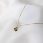 14K Gold Paw Charm Necklace for Dog Lovers - Sash Jewelry