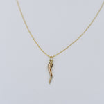 14K Gold Italian Horn Necklace - Sash Jewelry