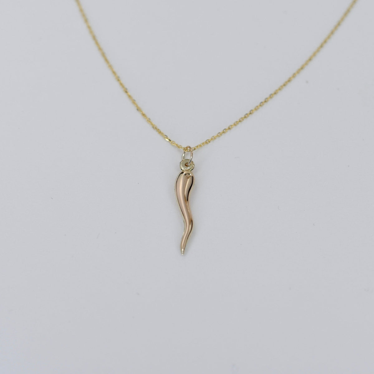 14K Gold Italian Horn Necklace - Sash Jewelry