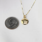 14K Solid Gold Sand Dollar Necklace — Tiny Sand Dollar Pendant - Sash Jewelry
