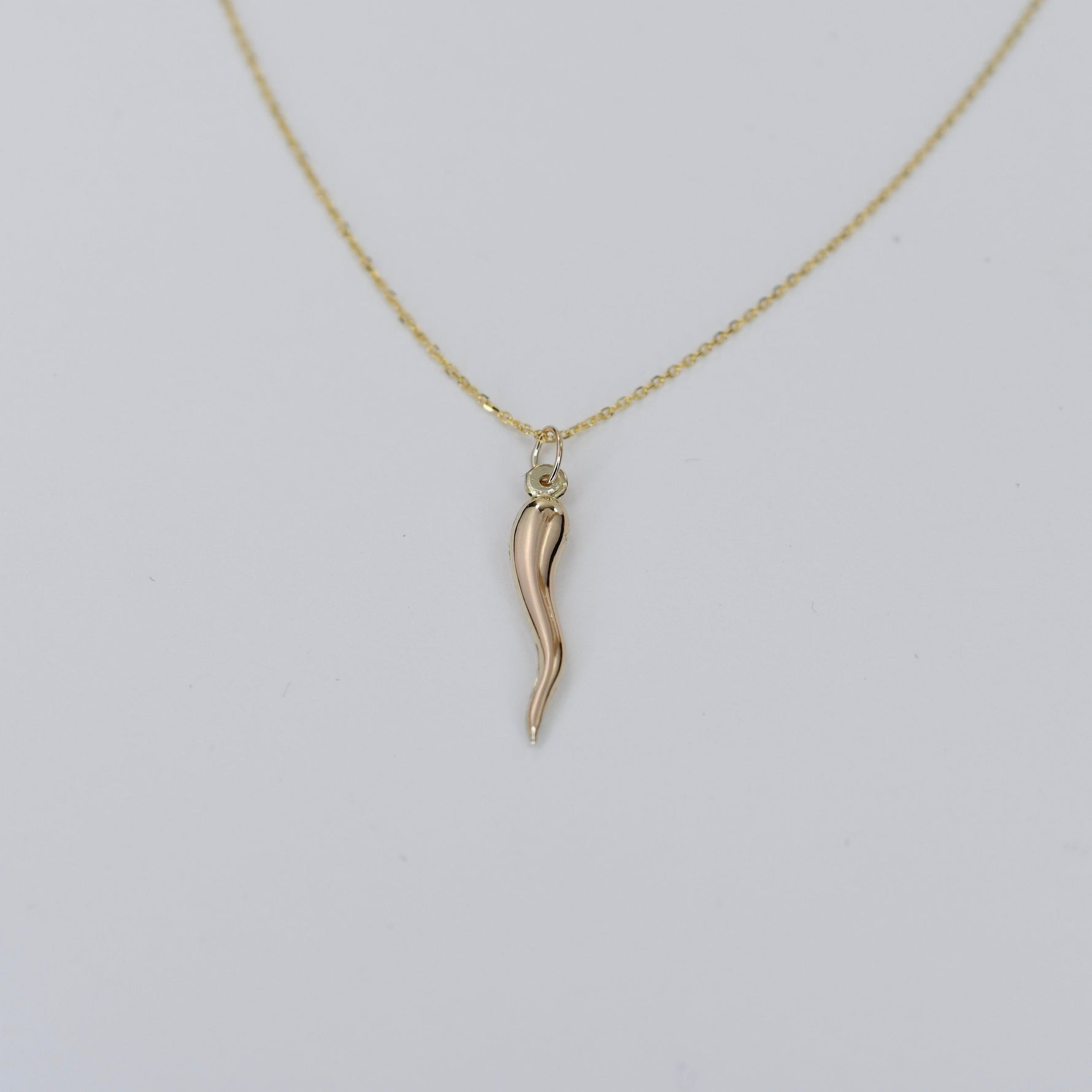 14K Gold Italian Horn Necklace - Sash Jewelry