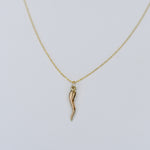 14K Gold Italian Horn Necklace - Sash Jewelry
