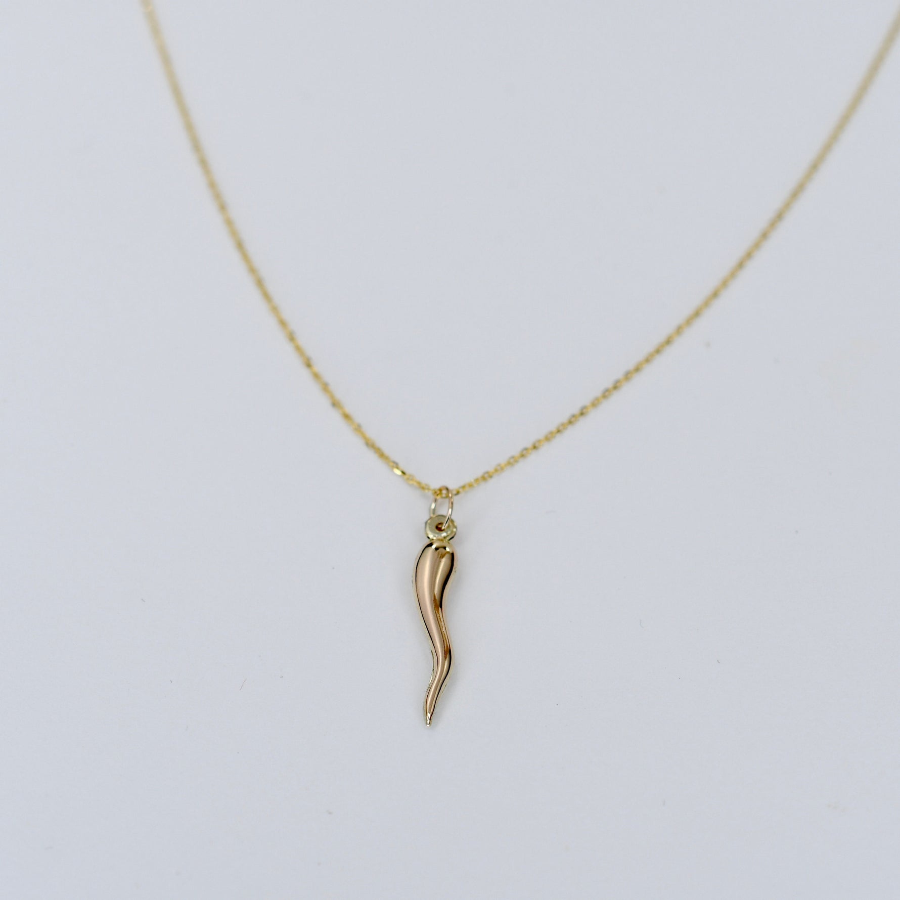 14K Gold Italian Horn Necklace - Sash Jewelry