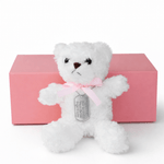 New Mom Gift Box - New Baby Gift Box - Sash Jewelry