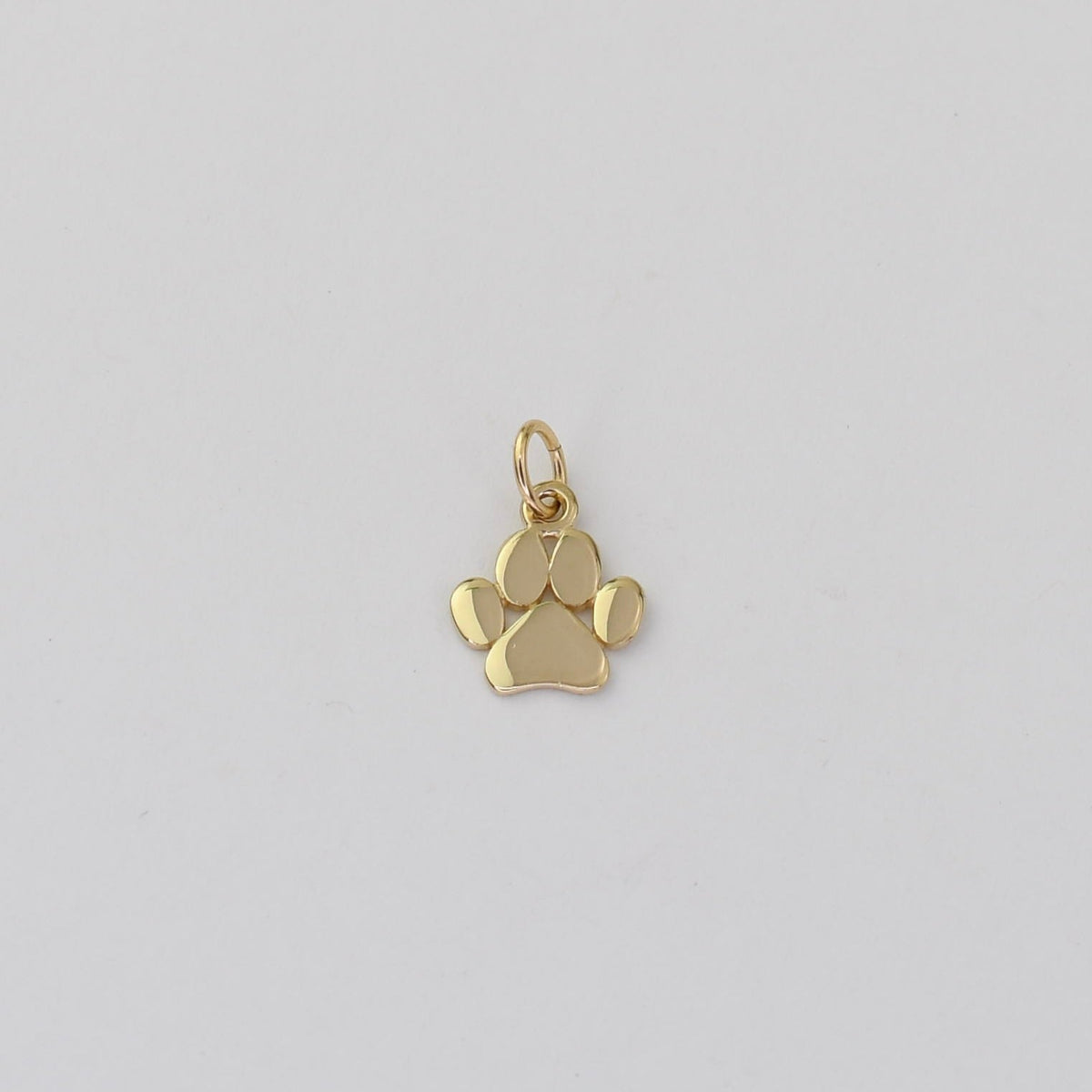Paw Charm - Sash Jewelry