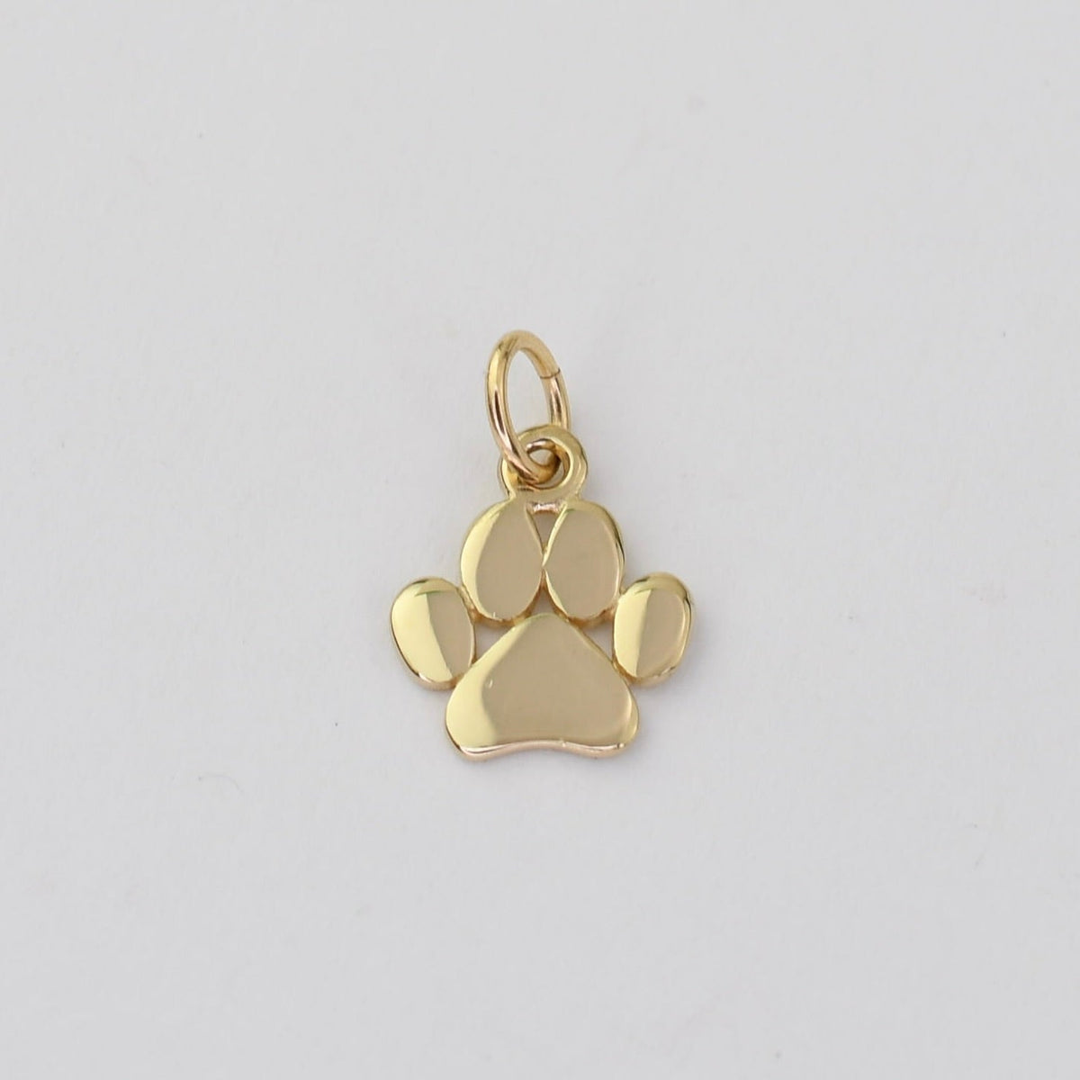 Paw Charm - Sash Jewelry