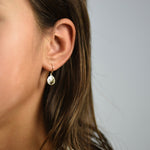 Small Sand Dollar Earrings – Sterling Silver or Gold Filled - Sash Jewelry